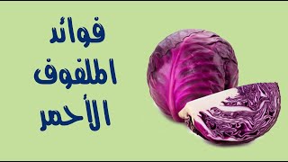 فوائد الملفوف الأحمر : 10 فوائد مذهلة