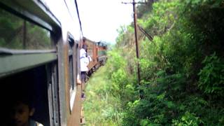 bandarawela tea farms (sri lanka)