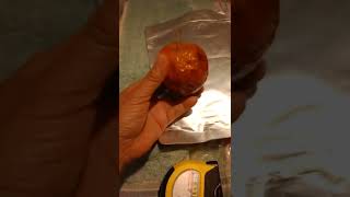rotten apple