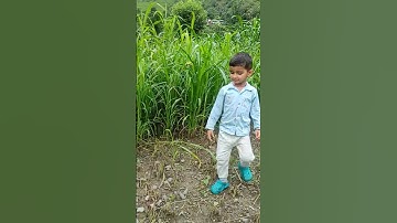 Thumbnail of Tera Mera Pyar #himachali #pahadi #song #mountains #trending #youtubeshorts #nature #vibes #video