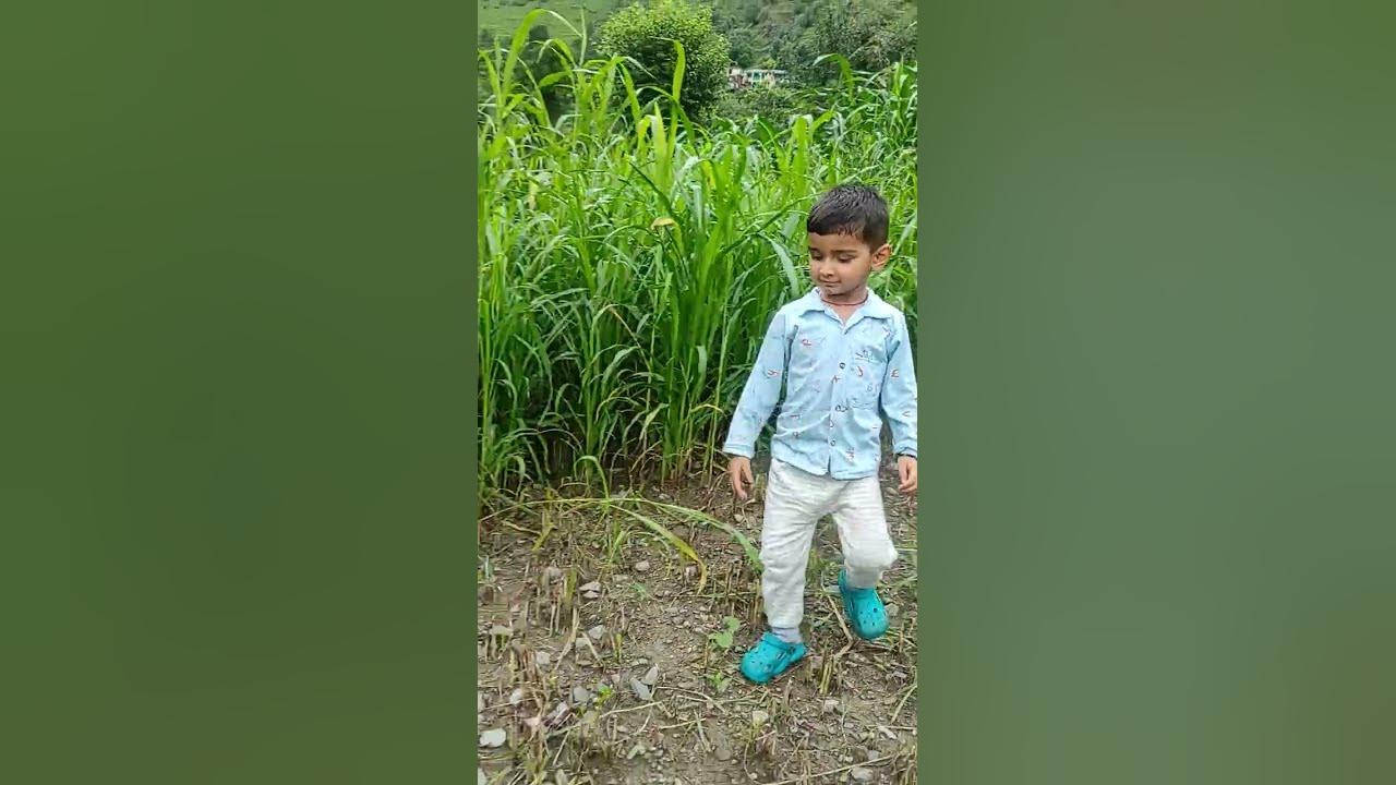 Tera Mera Pyar #himachali #pahadi #song #mountains #trending #youtubeshorts #nature #vibes #video