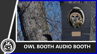 The Owl Booth Audio Booth by ifell3 64 views 1 year ago 10 minutes, 44 seconds