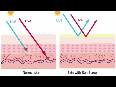 Effects of Sun Exposure