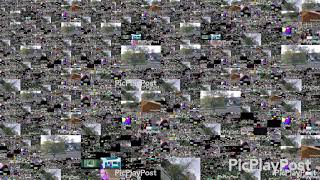 Annoying Goose Ultimateparison