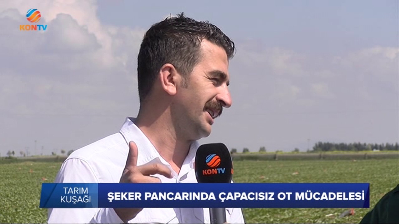 TARIM KUŞAĞI - ŞEKER PANCARINDA ÇAPACISIZ OT MÜCADELESİ - 24 MAYIS 2017