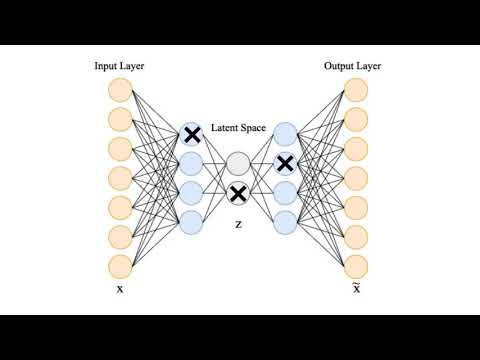 Quantifying the performance of a sparse autoencoder in detecting network anomalies by M.A.A. Edora