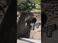 Sfplumbingconnection Gmail Com Pipebust Sfplumbingconnection Gmail Com Pipebust