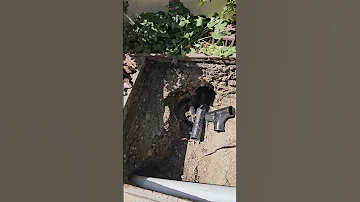 Sfplumbingconnection Gmail Com Pipebust 