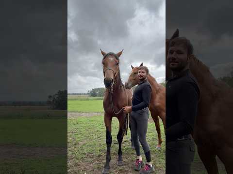 Wie groß ist er?