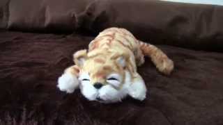 笑い袋の猫バージョン・笑って転げて猫山さん