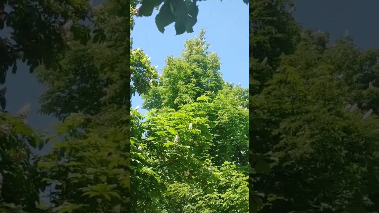 Погода, то що треба для прогулянки 