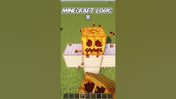 Minecraft Logic💀 (World