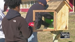 Celebrity Blessing Boxes Wealth
