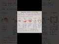🌿 Nutrition in Organisms |Class 10 Science |Autotrophic & Heterotrophic Nutrition| Handwritten Notes
