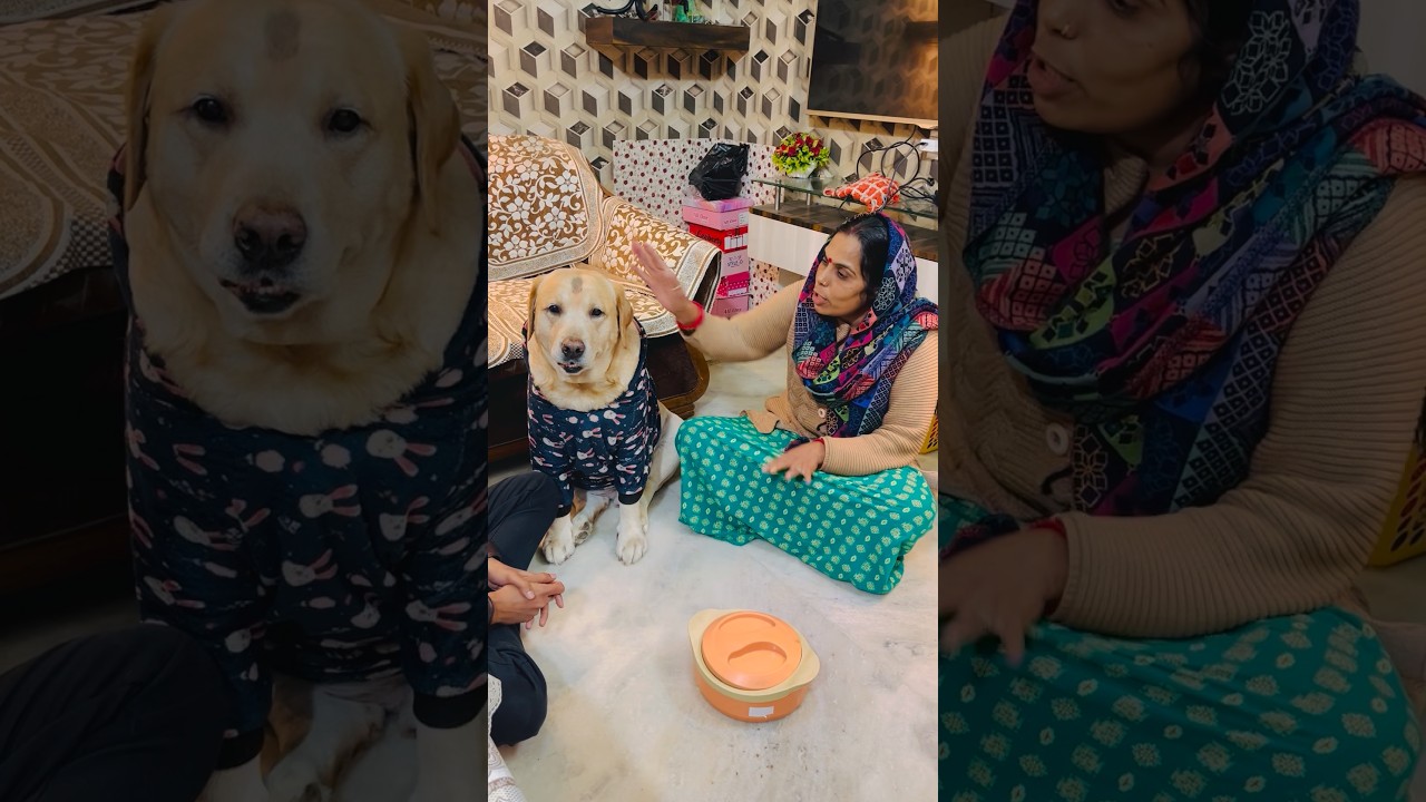 Bade Khatarnaak Log Hai 🥹 | SourShy | 