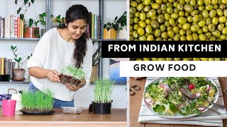 Grow Microgreens from Indian Kitchen| Ready to eat in 7days