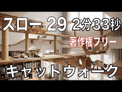 ⭐︎⭐︎様のキャットウォーク キャットウォーク SF29 - YouTube