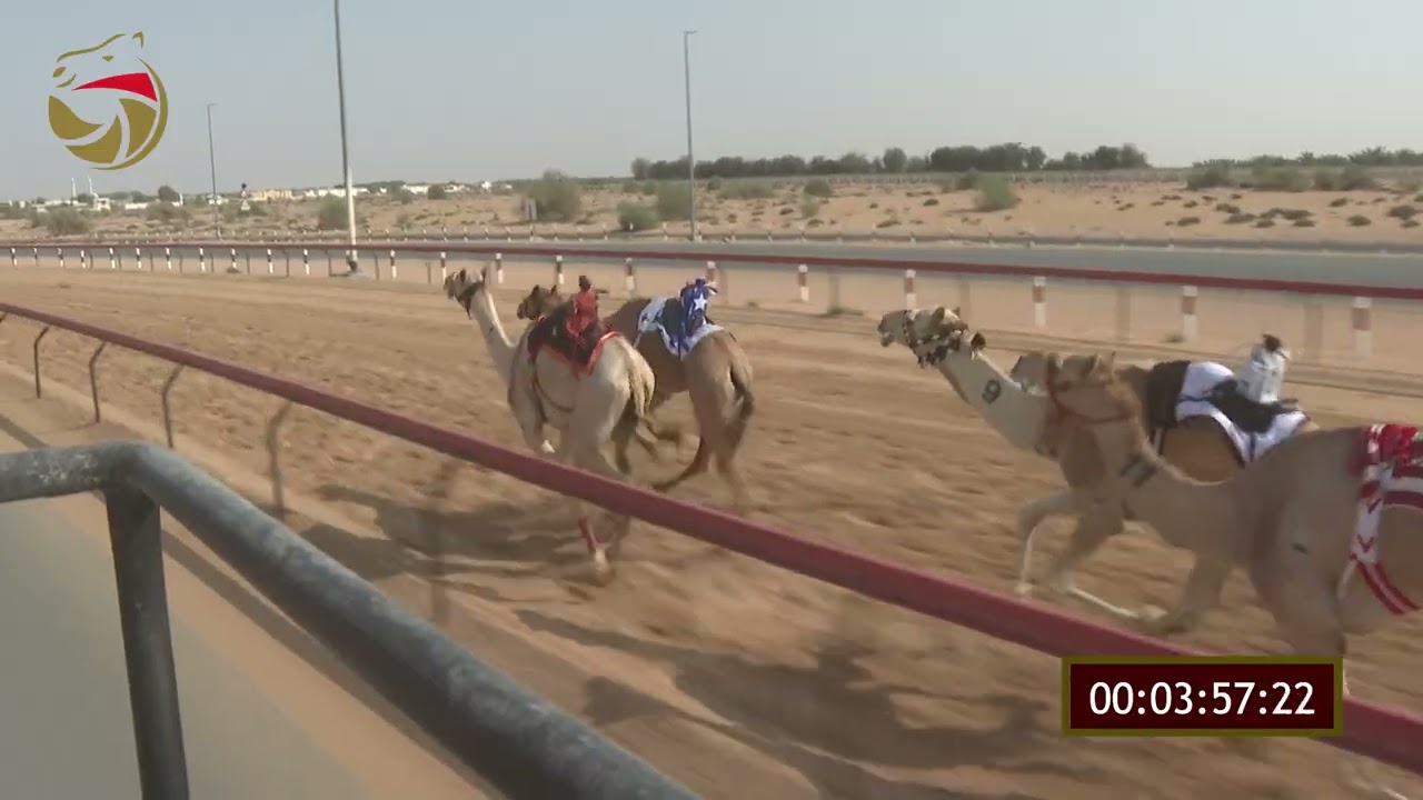 سباق الإيذاع – لهباب 03-03-2026 ش12 الوضيحي لـ محمد عبدالله مطر المسافري  7:37