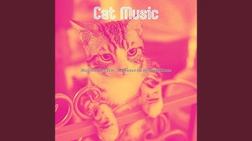 Pulsating Backdrops for Cats