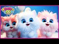 Песня Котенок, котенок - Детские песни - Детские стишки и детские песни - Baby Toon - мультфильм