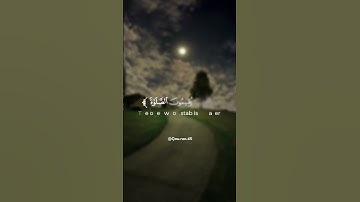 {إنما المؤمنون...} تلاوة عطرة للقارئ الشيخ فارس عباد 🍂
