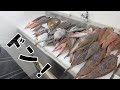 1000円でありえない量の高級魚が買えてしまいました。