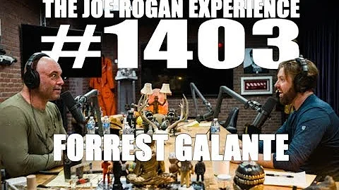 Joe Rogan Experience #1403 - Forrest Galante