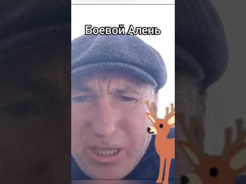 Алкаш боевой Алень
