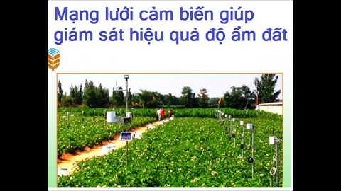 HỆ THỐNG TƯỚI THÔNG MINH