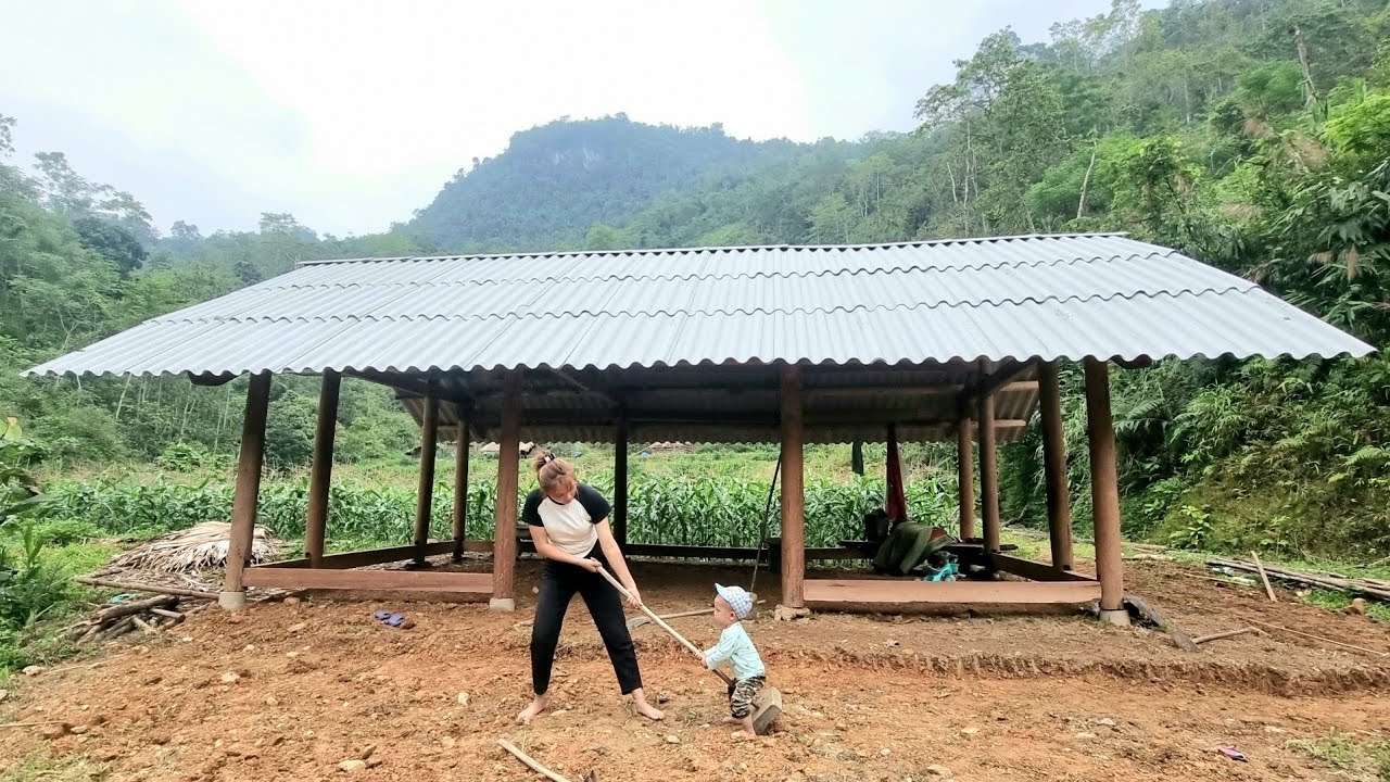 Corrugated iron roof for sturdy wooden house. Daily life of father and son Kien_Single Dad.