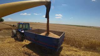 Harman Tozunu Güneş İle Kavurduk 2022 Buğday Hasat Fragmani