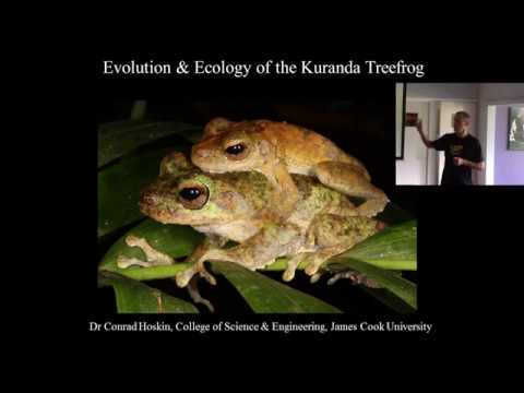 Evolution & Ecology of the Kuranda Treefrog : Dr Conrad Hoskin