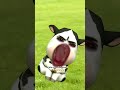 #fypシ #tiktok #siblings #brother #funny #cow #trending #subscribe #relatable