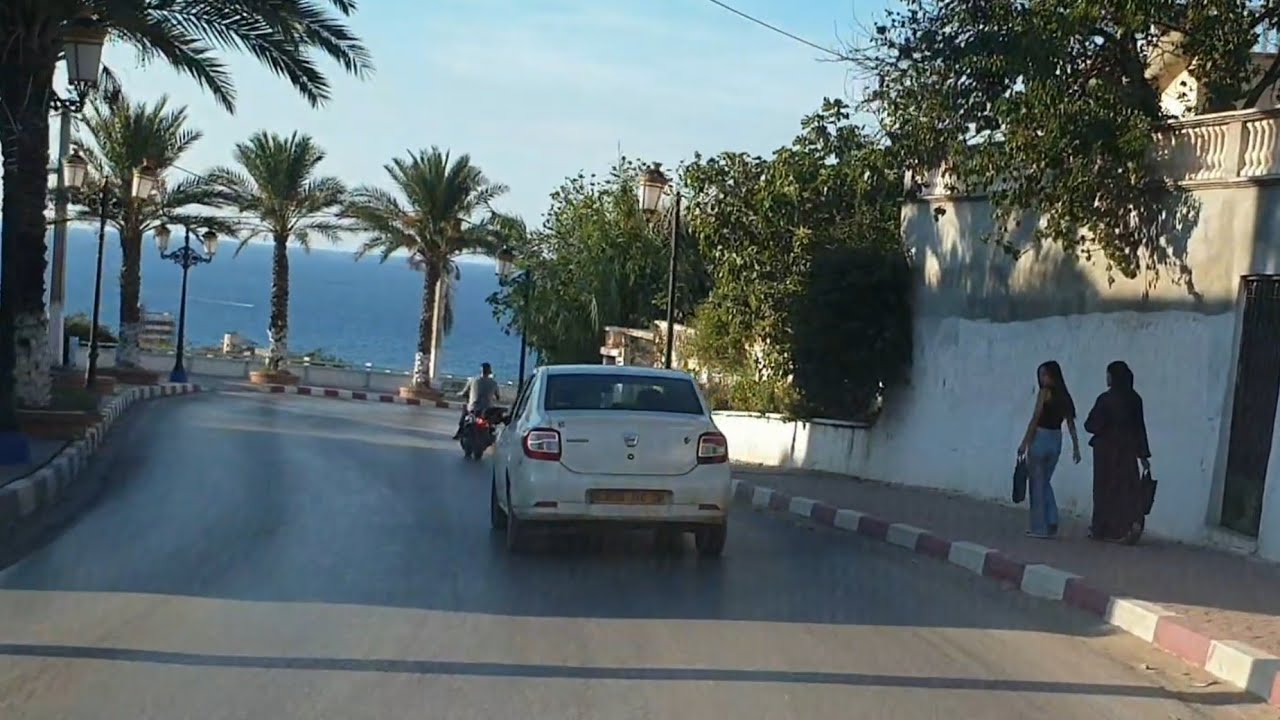 car Driving - Berrihane el tarf el kala Algeria  13/10/2023 #algeria #driving #el_kala