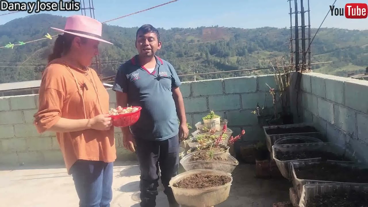 Aquí me encuentro  con mi gordito sembrando ajo y cebolla