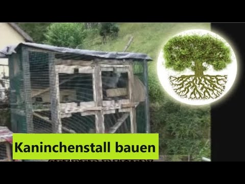 Diy kaninchengehege selber bauen winterfestes, marderfestes ...