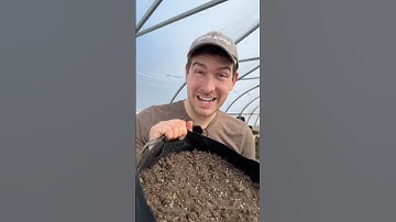 How We Use The SAME Potting Soil Every Year And How You Can Too! #gardeningtips #garden #gardening
