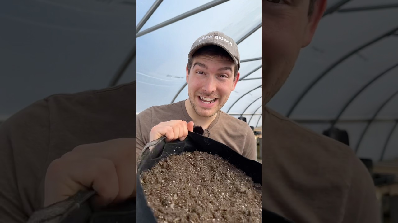 How We Use The SAME Potting Soil Every Year And How You Can Too! #gardeningtips #garden #gardening