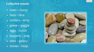 One Word For A Collection Language And Literature Now You Know Book 3 Periwinkle