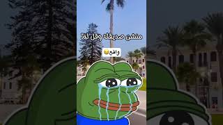 منشنو ع ساكت