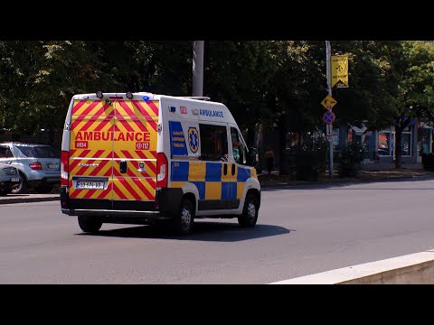 დაზღვეულებისთვის სასწრაფოს გამოძახება ძვირდება | ოფიციალური მიმართვა უკვე გაგზავნილია