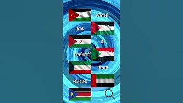 Guess the flag, Which one is Sudan??!  #viral #countries #flag #fypp #sudan