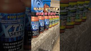 납작복숭아 꽃 피기 전 관주하기