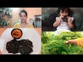 Ragi flour / Adai recipe tamil / Ragi recipes / Ragi adai recipe in tamil