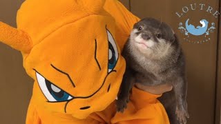Pokemon Came to Otter's House?!