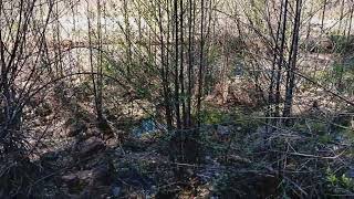 Bear River Flows, April 2, 2024 300 cfs 4