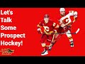 Let s Talk Some Prospect Hockey!