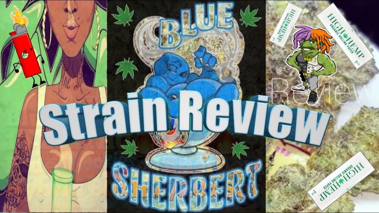 Blue Sherbert Strain Review 4k OGB 4420