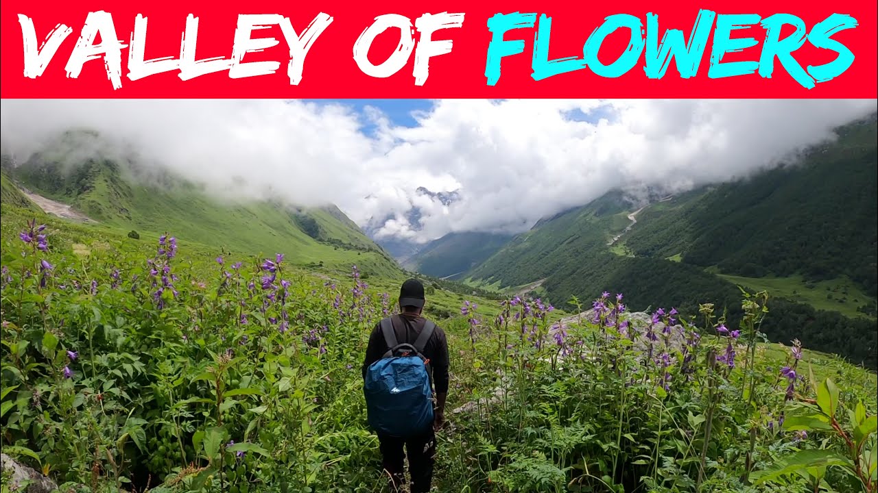Valley of Flowers 2022 ye kisi jannat se km nahi hai. Nomad Narry Trek