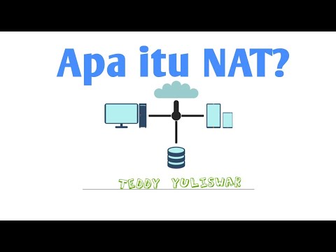 Video: Apa nat premix terbaik?